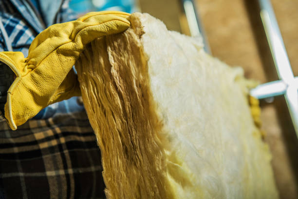 Best Insulation Removal  in Vaughn, WA